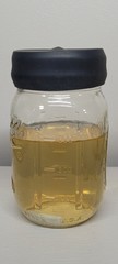 300ml Sterilized Liquid Culture Expansion Jar