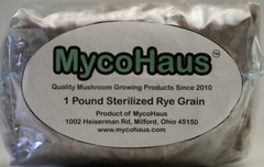 12 x one pound sterilized rye grain bags with injection ports mushroom substrate