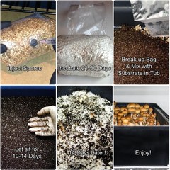 Complete Mushroom Monotub Grow Kit for Dung-Loving Mushrooms – Just Add Spores!
