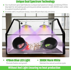 Large Still Air Box Mushroom Grow Set, 30×20×20 Inch Mycology Fume Hood