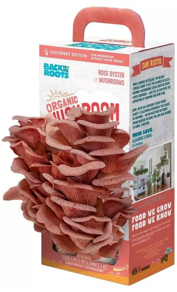 Back To The Roots Organic Pink Oyster Mushroom Grow Kit Harvest Gourmet Fungi