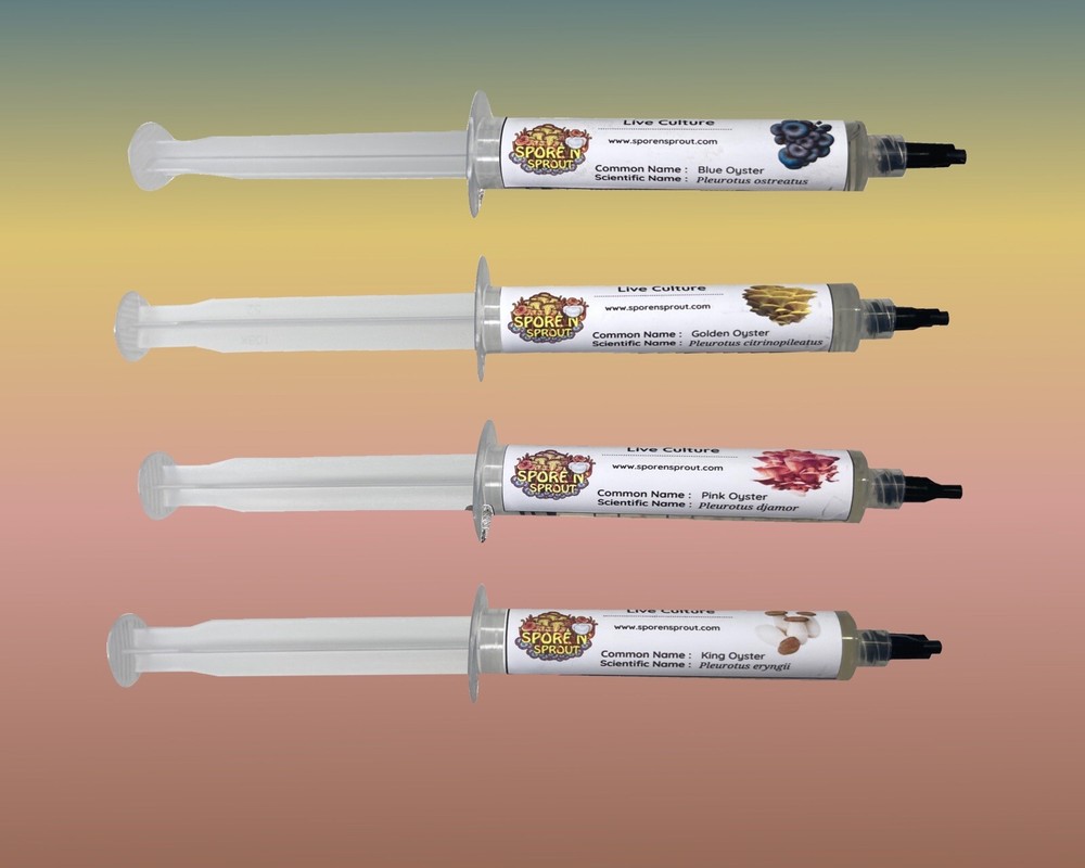 4 Pack Of Gourmet Mushroom Liquid Culture Blue, Pink, Gold, King Oyster