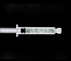 Shiitake WW2323 Liquid Mushroom Culture Lentinula edodes