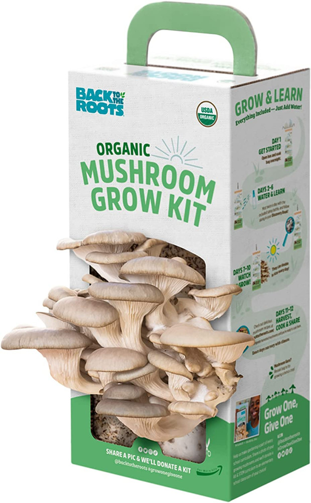 Organic Oyster Mushroom Grow Kit, Harvest Gourmet Mushrooms in 10 Days