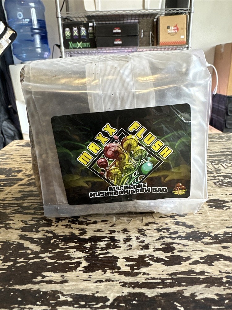 Maxx Flush All in One 4 Lb