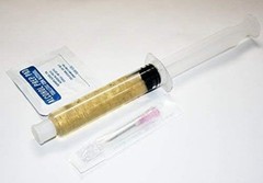 Mushroom Liquid Culture Golden Oyster Pleurotus Citrinopileatus 10cc Mycelium