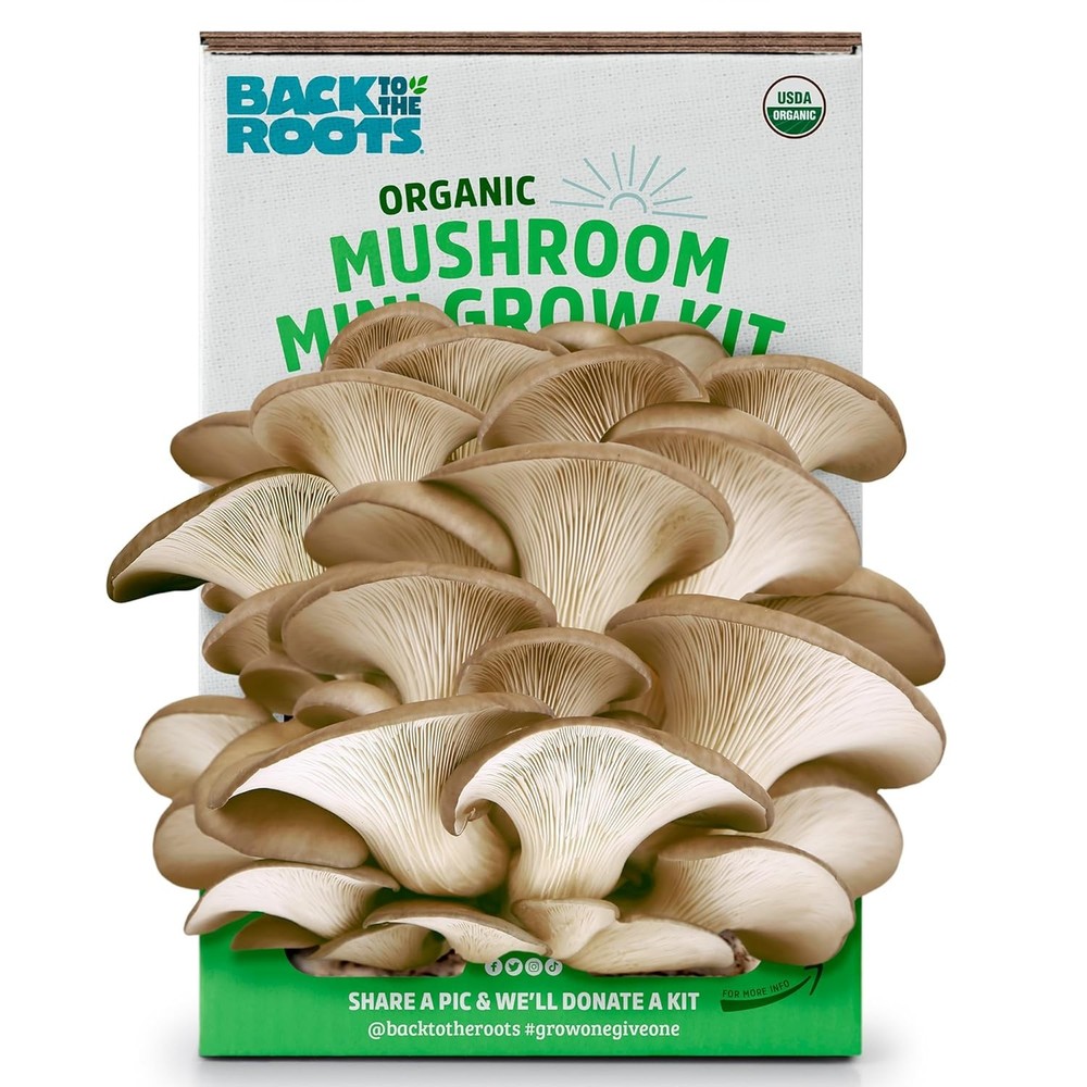 Back to the Roots Organic Mini Mushroom Grow Kit, Harvest Gourmet Oyster Mushroo