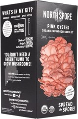 Beginner-Friendly Pink Oyster Mushroom Grow Kit – Just Spray & Watch Them Grow!