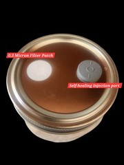 VELVET PIOPPINO Mushroom Colonized Grain Spawn, 1 Quart