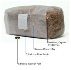 MYTERRA Labs Gourmet Mushroom Grow Bag Kit – Includes Organic Rye Berry…
