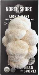 USDA Organic Lion’s Mane Spray & Grow Kit – Easy 4 lbs Mushroom Cultivation