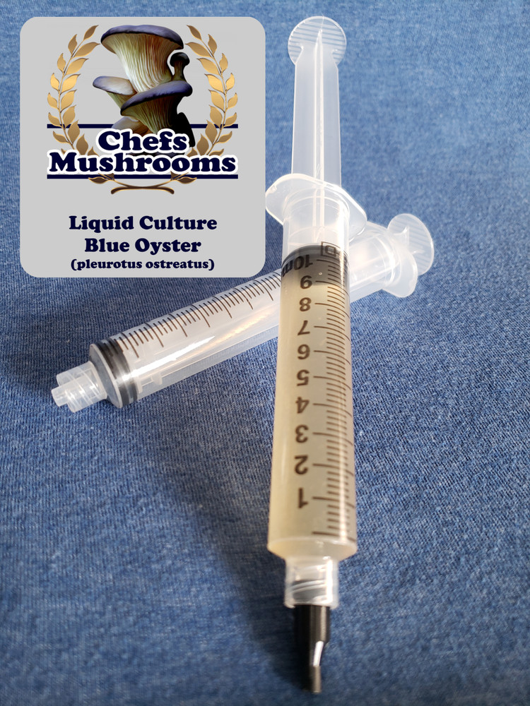 Blue Oyster Liquid Culture – 12cc Syringe – 1 Pack – Chefs Mushrooms