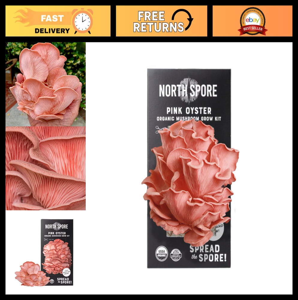 Organic Pink Oyster Mushroom Grow Kit – 4 lbs, USDA-Certified, Non-GMO, Easy to