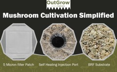 BRF Bags Brown Rice Flour Based Mushroom Substrate (6 pack)