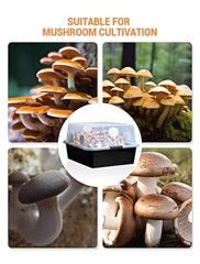 24-Pack 2.5″ Monotub Adhesive Filter Disks – Perfect for Mushroom Cultivation