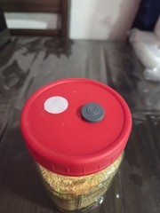 Modified Liquid Culture/grain Jar Plastic LIDS, BALL Brand, Set of 6, Mycology