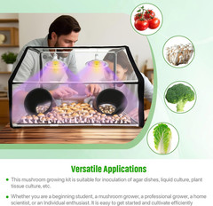 Large Still Air Box Mushroom Grow Set, 30×20×20 Inch Mycology Fume Hood