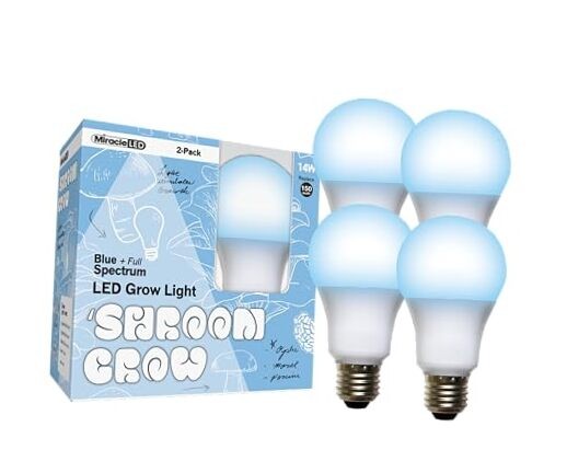 Shroom Grow Indoor LED Grow Bulbs for Oyster, Shiitake, Lions Mane Mushrooms