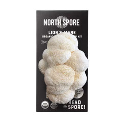 Organic Lion’S Mane Mushroom Spray and Grow
