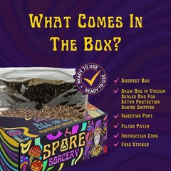 2 LB Mushroom Grow Bag – Nutrient-Enhanced, Injection Port, Easy Spore Growing!