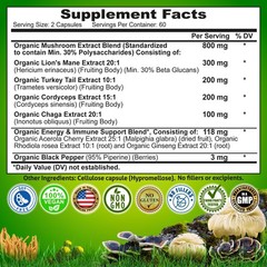 Organic Mushroom Complex: Lion’s Mane, Turkey Tail, 120 Count (Pack of 1)