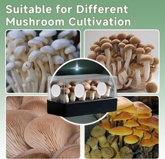 Mushroom Growing Filter Disks 3 inch 24pcs Adhesive Monotub Filters