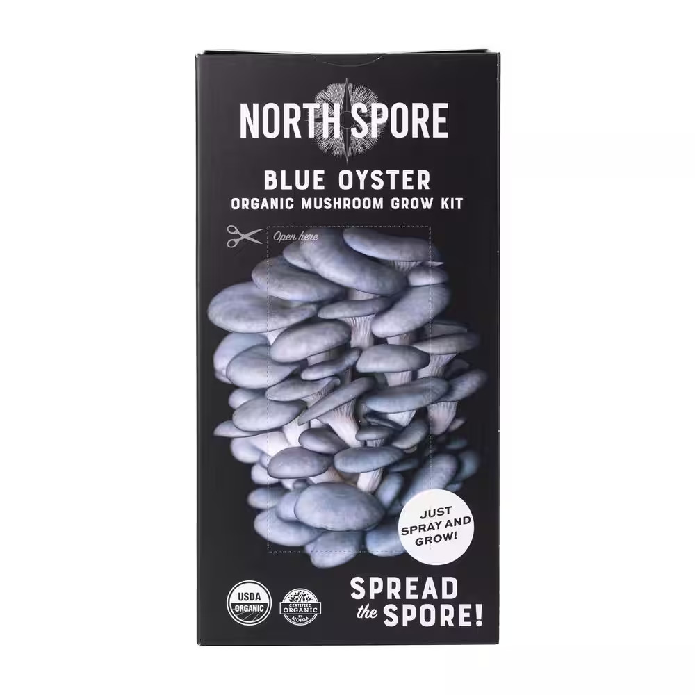 Organic Blue Oyster Mushroom Spray & Grow Kit