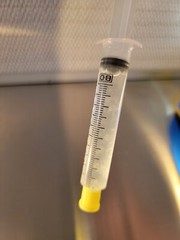 White Enoki Flammulina filiformis Liquid Culture Syringe 10+ ml Svelt & Nutty