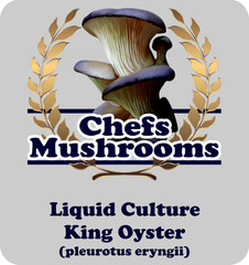 King Oyster Liquid Culture – 12cc Syringe – 10 Pack – Chefs Mushrooms
