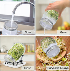 Sprouting Jar, Sprouts Growing Kit, Mason Jar for Bean Sprouts Grow, Seed Sprout