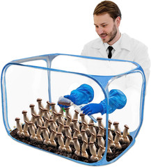35.5×23.5×23.5 inches, Collapsible Mushroom Grow Bags, Mushroom Grow Kit, Porta