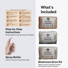 Specialty Trio Oyster Mushroom Grow Kit 3-Pack Variety – Beginner Friendly & Eas