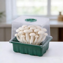 DECOHS 4 Pack Monotub Mushroom Grow Kit, 6.5″ x 5″ x Small Mini, 4 Pcs