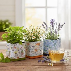 Seeds Herbal Tea Garden Grow Kit – 3 Square Tin Planters with Lavender,