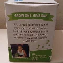 Back to the Roots Organic Kitchen Herb Garden Kit 3 Pack Mint Basil Cilantro