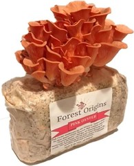 Pink Oyster Mushroom Grow Kit – Easy 10-Day Cultivation, Perfect Gardening Gift!
