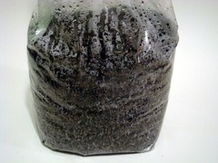 11 LBS Mushroom Bulk Substrate Dung Lovers Blend – Pasteurized – 1 GALLON Approx