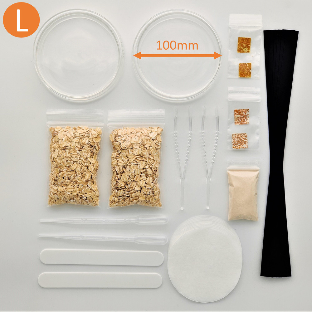 Set L: Slime mold Cultivation Set, Physarum, Badhamia, Blob, Schleimpilz, gift