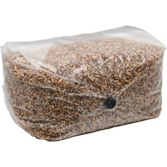 Sterilized Rye Berry Grow Bag (15lbs)