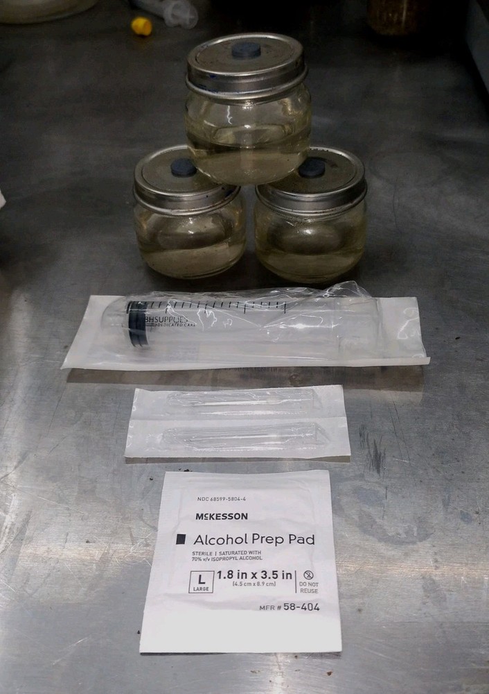 MiniQuick Liquid Culture Kit. Spore Germination. Fast And Reliable.