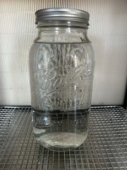 XXXL 2000 mL Liquid Culture