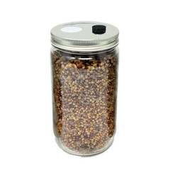 Microppose Self Healing Injection Ports for Mushroom Spawn Bags and Jar Lids (50