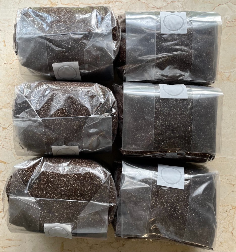 Mushroom Substrate 30 lbs (5lb bags) sterilized substrate CVG