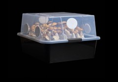 Mushroom Monotub 66Q Grow Kit – Perfect for Dung-Loving Edible Mushrooms