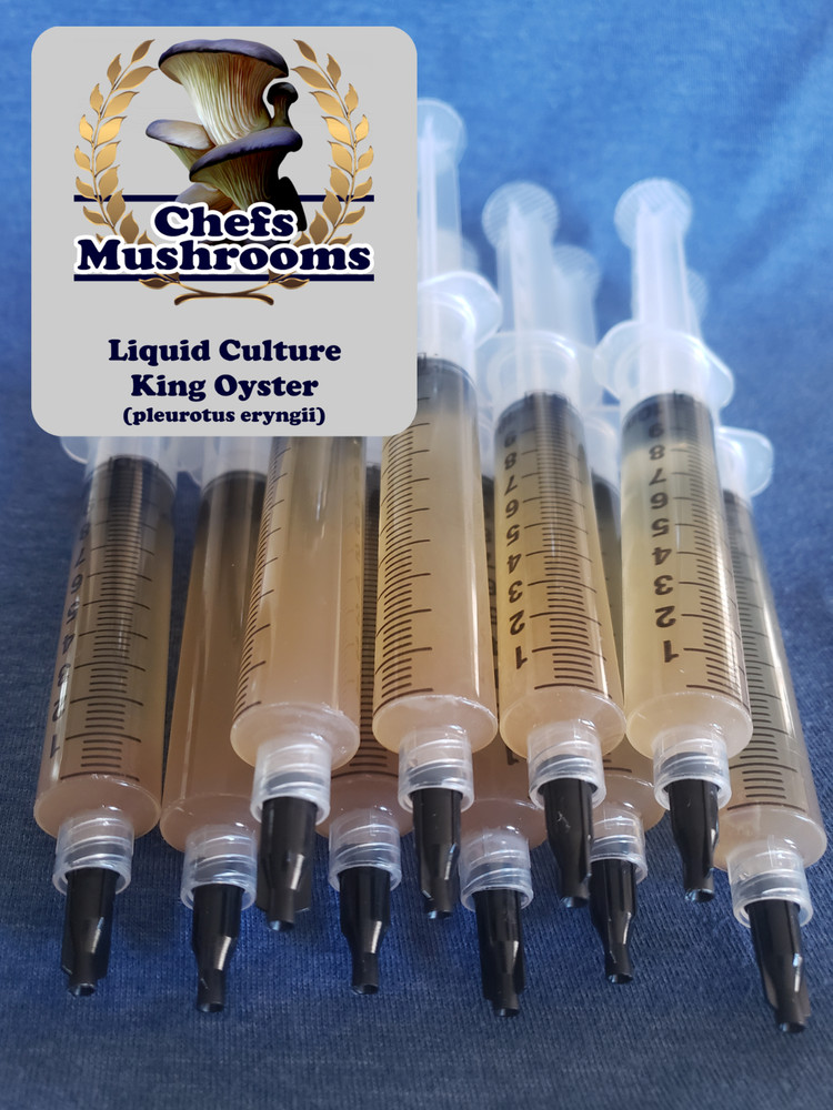 King Oyster Liquid Culture – 12cc Syringe – 10 Pack – Chefs Mushrooms