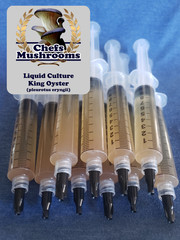 King Oyster Liquid Culture – 12cc Syringe – 10 Pack – Chefs Mushrooms