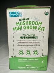 Organic Mushroom Mini Grow Kit Harvest Gourmet Pearl Oyster Complete Gardening