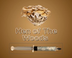 Hen of the Woods Maitake Liquid Culture Syringe 10ml Grifola frondosa Live
