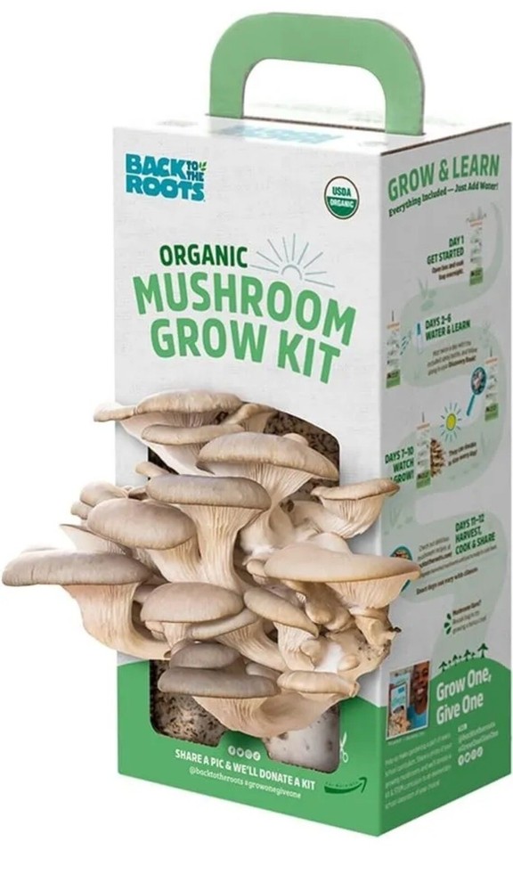Organic Mushroom Mini Grow Kit Harvest Gourmet Pearl Oyster Complete Gardening