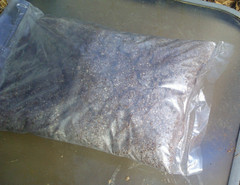 Mushroom CVG Substrate Coco Coir Vermiculite Gypsum 20lbs Pastureized Free Ship